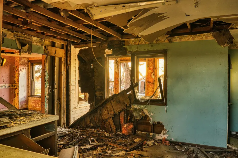 Leading Mold Removal Company In College Station — College Station, TX